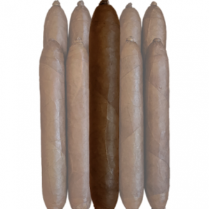 Arista Chubby 660 Maduro