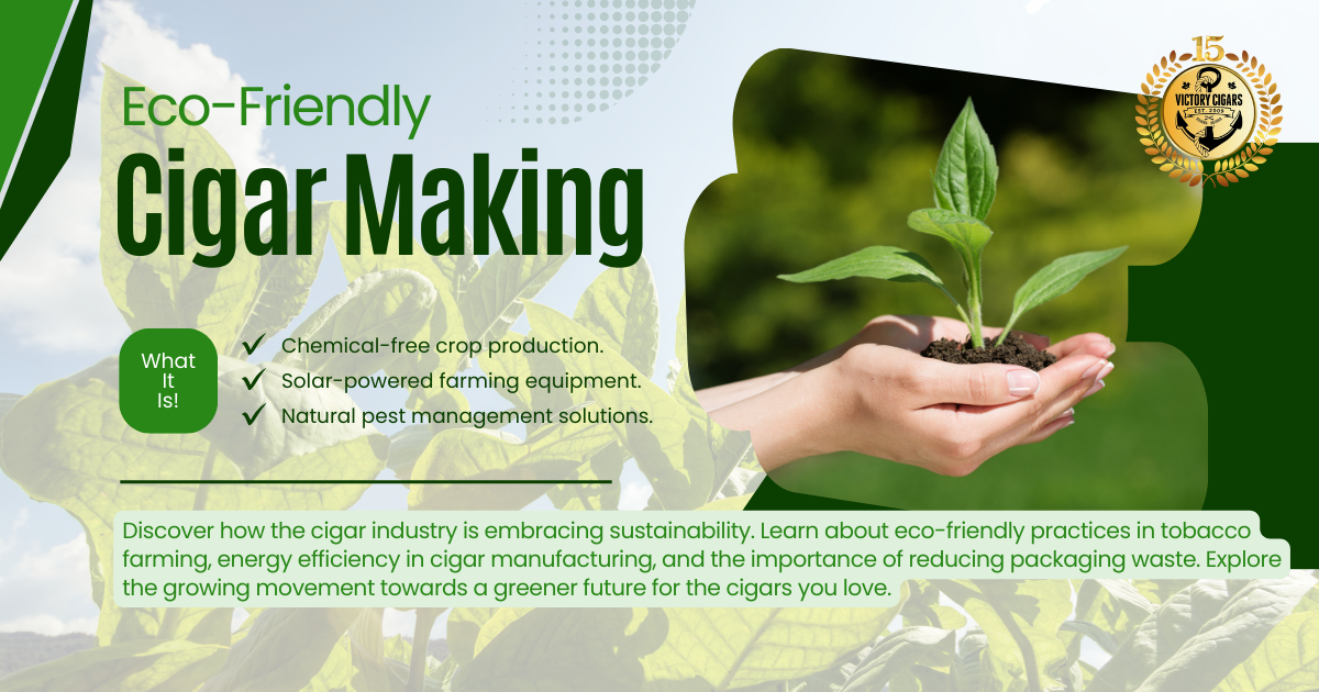 An infographic showing a woman holding up a tobacco seedling. Summary of the main points of the article in green font.