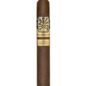 Ferio Tego Timeless Panamericana Magnum