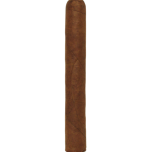 Arista Chicos Habano