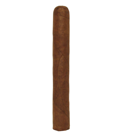 Arista Chicos Habano