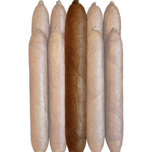 Arista Chubby 660 Habano
