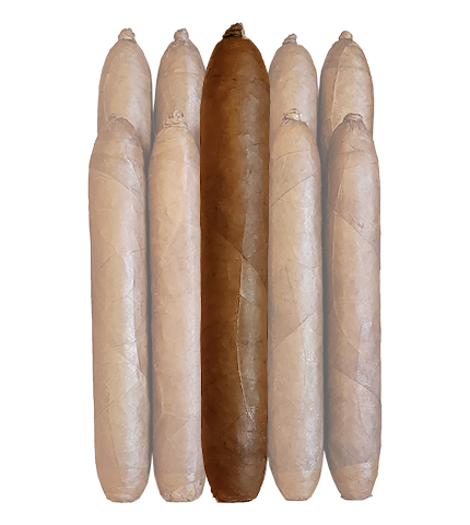 Arista Chubby 660 Habano