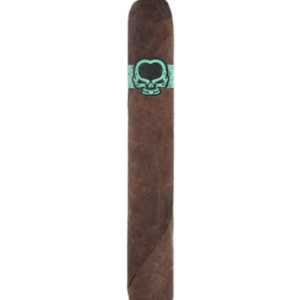 Asylum 13 Cool Brew Robusto
