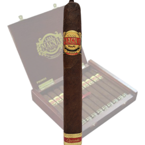 Casa Magna Domus Magnus Primus