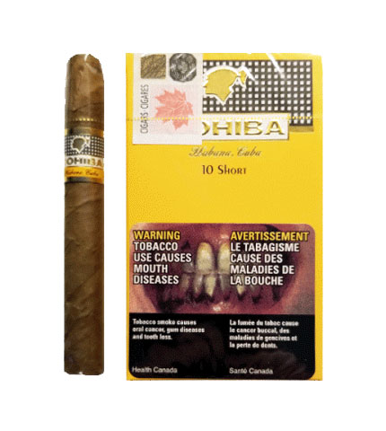 Cohiba Shorts