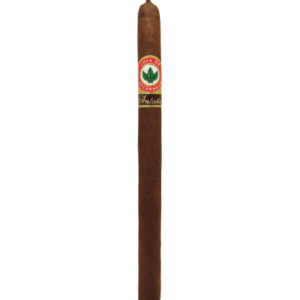 Joya de Nicaragua Antaño Lancero