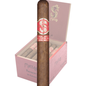 Matilde Renacer Robusto