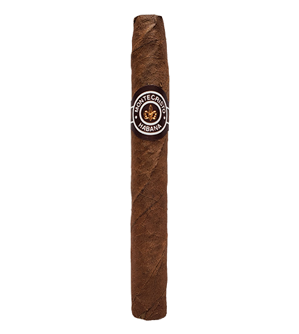 Montecristo Shorts - Image 2