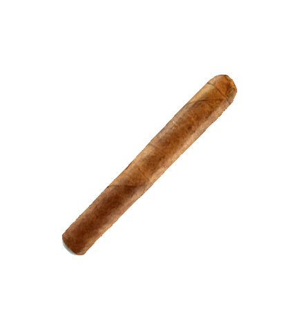 Victory Cigars Summer of 79 Robusto